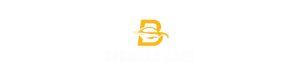 Bormela Cars FZCO logo